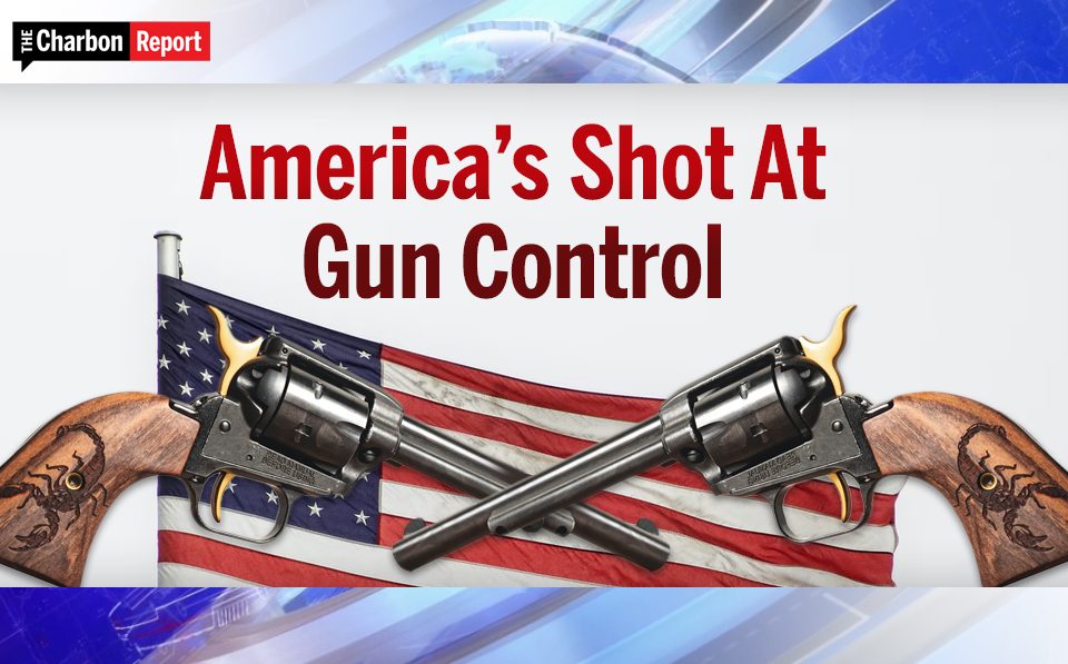 Guns and American flag to showcase America's Shot At Gun Control